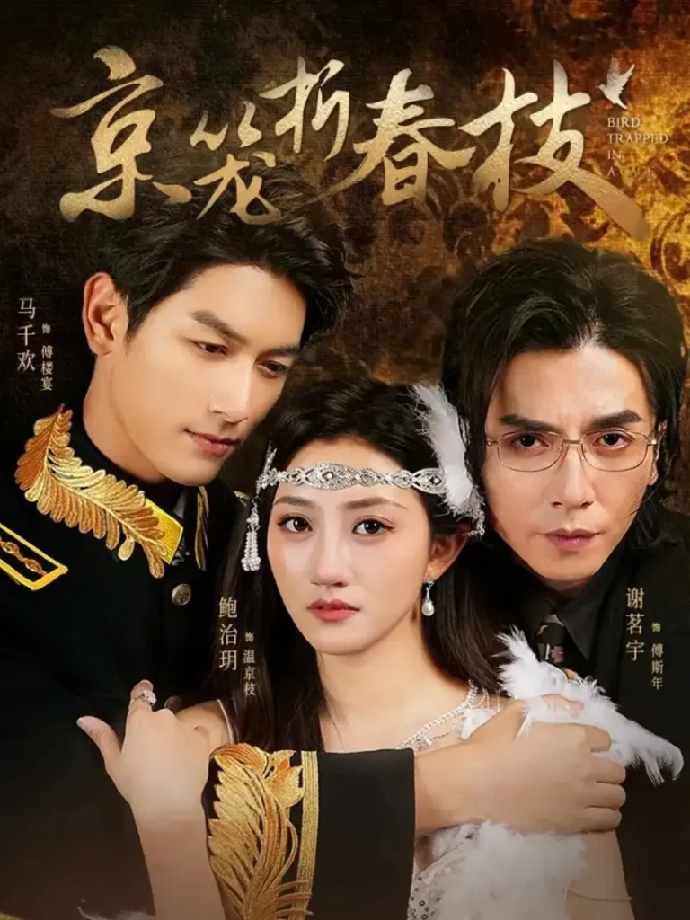 《京笼折春枝》全集高清完整版在线观看与剧情解析