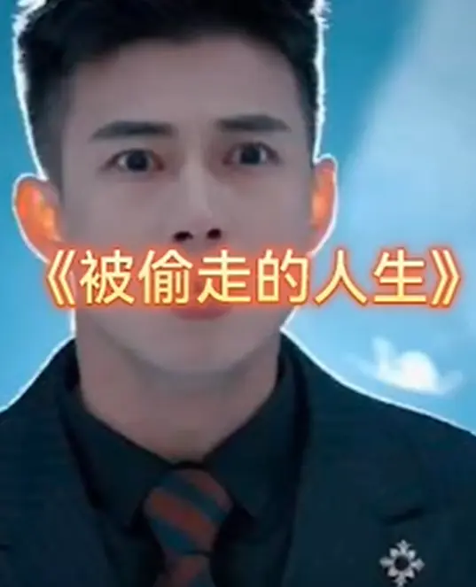 《他偷走了我的人生》全集高清完整版在线观看与剧情解析