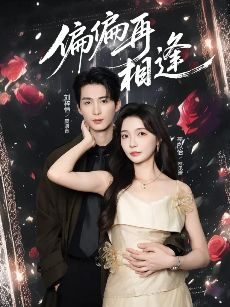 《偏偏再相逢》全集高清完整版在线观看与剧情解析