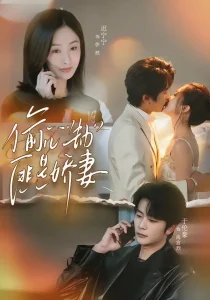 偷心劫匪是娇妻＆偷“心”劫匪是娇妻