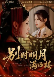 别时明月满西楼&我寄愁心与明月