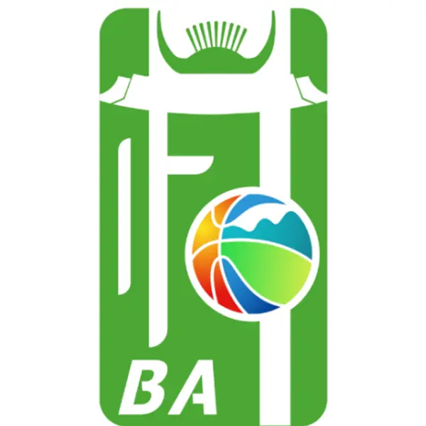 《和美乡村篮球赛 斗阵·泉BA篮球赛决赛20250916》全集高清完整版在线观看与剧情解析