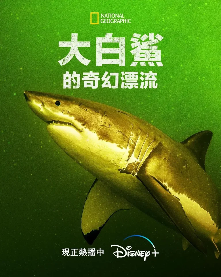 《大白鲨的奇幻漂流》全集高清完整版在线观看与剧情解析