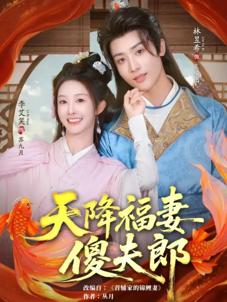 《天降福妻傻夫郎》全集高清完整版在线观看与剧情解析