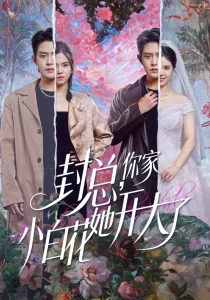 封总,你家小白花她开大了&大佬你的牙粘口红了