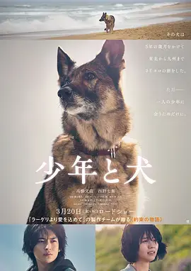 《少年与犬》全集高清完整版在线观看与剧情解析