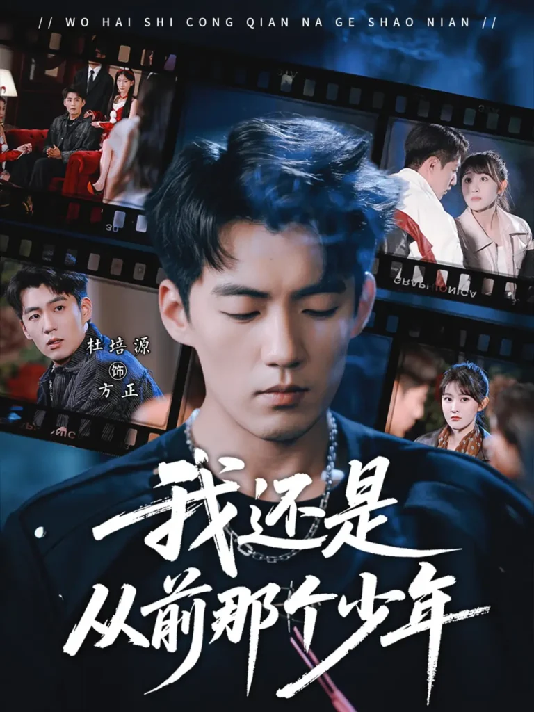 《我还是从前那个少年》全集高清完整版在线观看与剧情解析