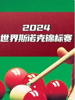 《斯诺克国锦赛 徐思5-3丁俊晖20241109》全集高清完整版在线观看与剧情解析