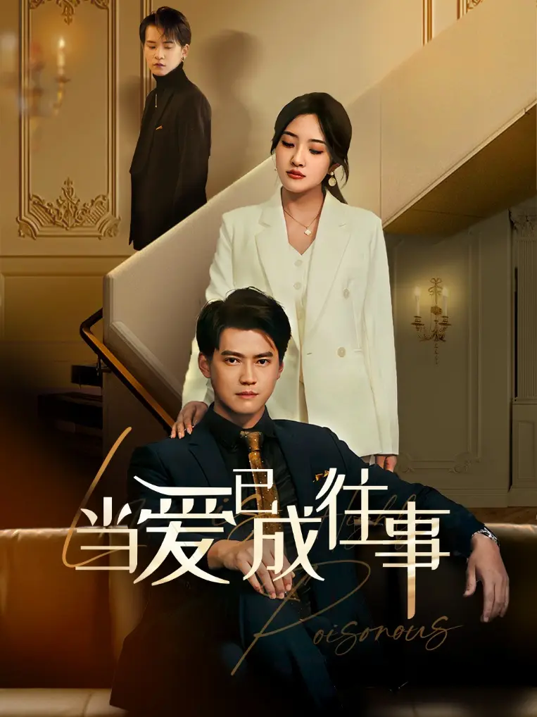 《新当爱已成往事》全集高清完整版在线观看与剧情解析