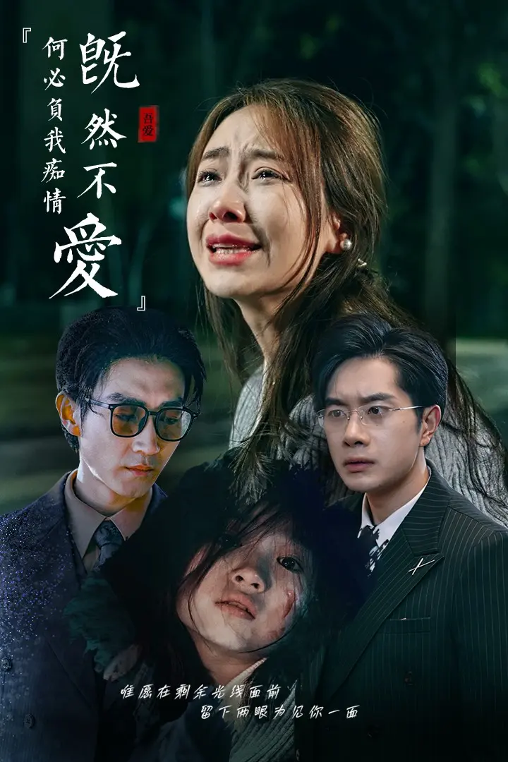 《既然不爱何必负我痴情》全集高清完整版在线观看与剧情解析