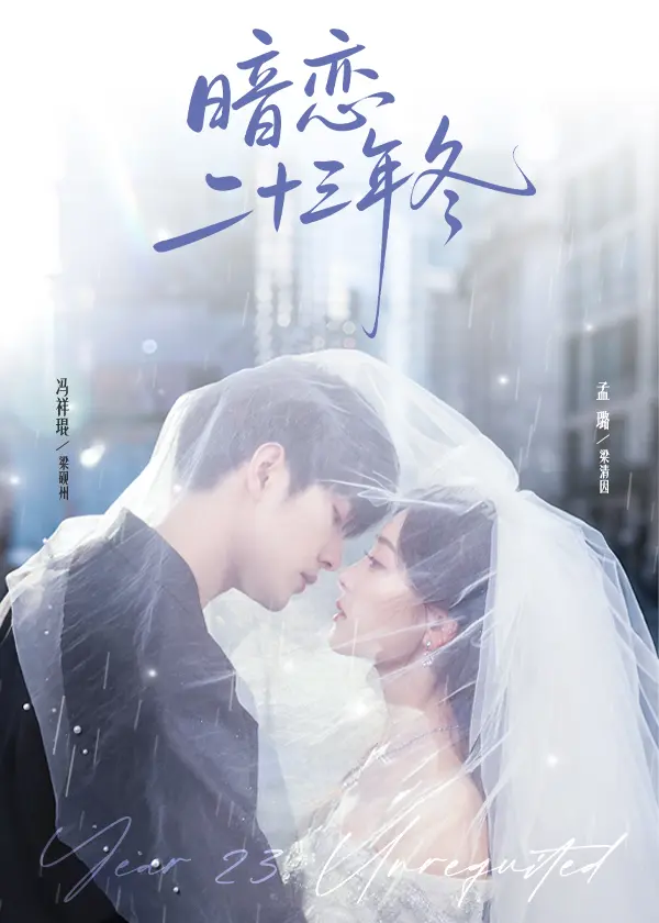《暗恋二十三年冬》全集高清完整版在线观看与剧情解析
