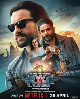 《珠宝大盗：神偷出马2025[电影解说]》全集高清完整版在线观看与剧情解析