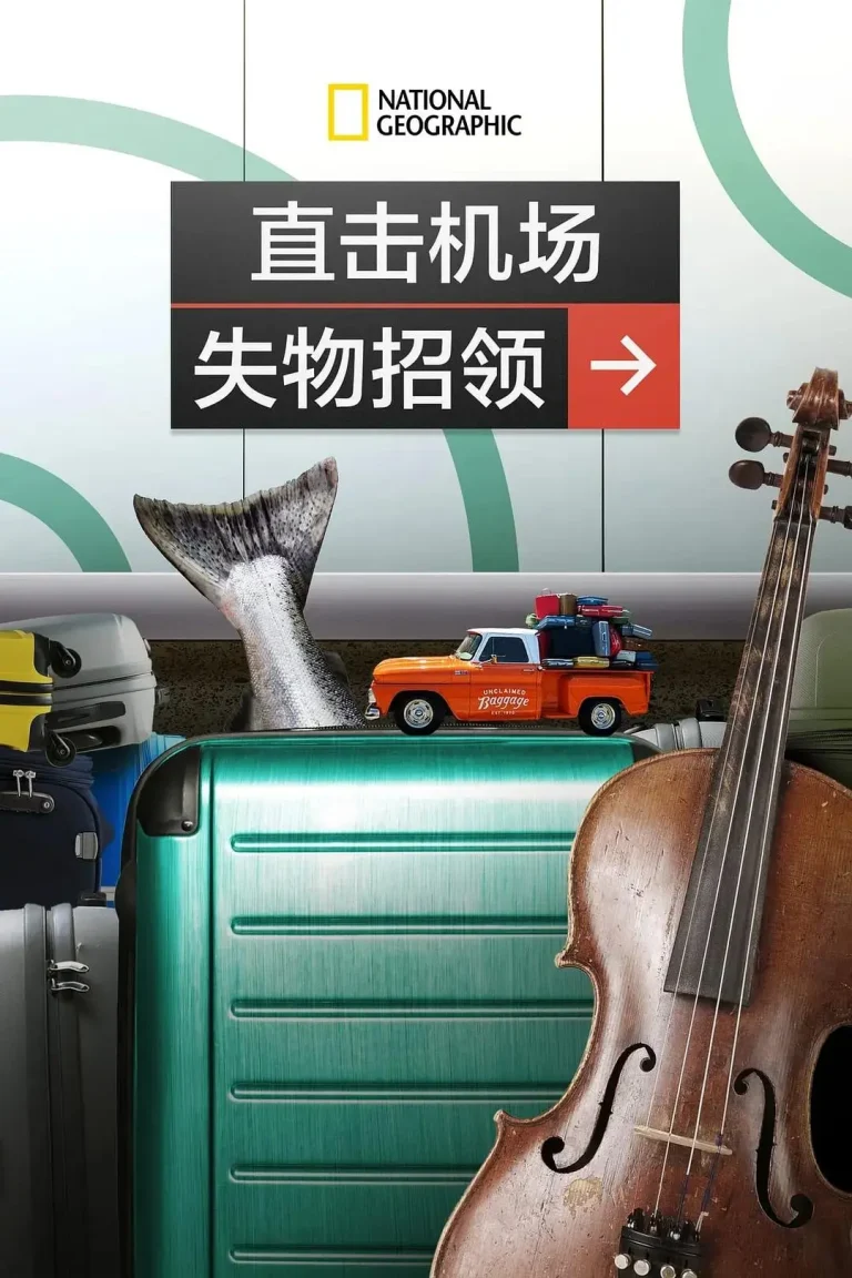 《直击机场失物招领》全集高清完整版在线观看与剧情解析