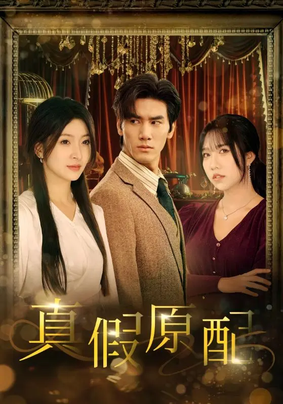 《真假原配》全集高清完整版在线观看与剧情解析