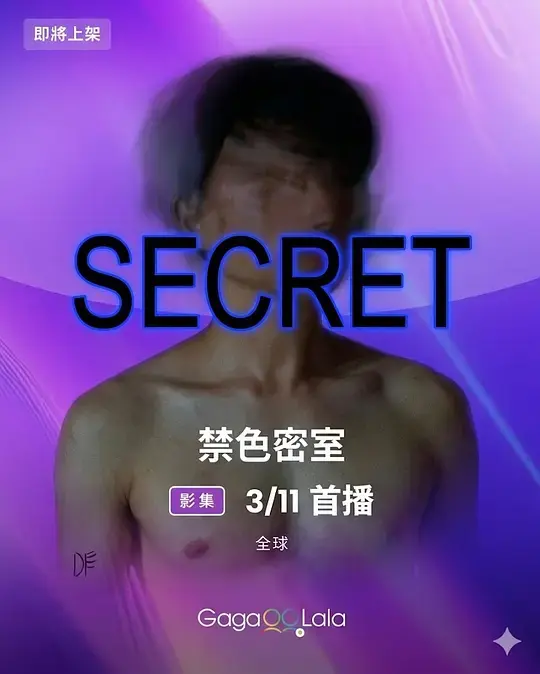 《禁色密室》全集高清完整版在线观看与剧情解析