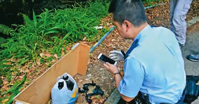 罗君儿飞鹅山绑架案细节披露:2800万赎金交付与团伙内讧始末:现场图 罗君儿飞鹅山绑架案细节披露:2800万赎金交付与团伙内讧始末:现场图
